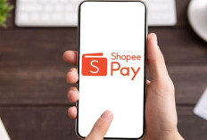 Kode Referral Shopee PayLater Terbaru 2025, Masih Aktif! Segera Klaim Untuk Dapatkan Diskon Meriah