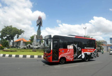 Teman Bus Bali : Tarif, Rute, dan Jadwal Operasional Terbaru 2025, Angkutan Transportasi Wisatawan